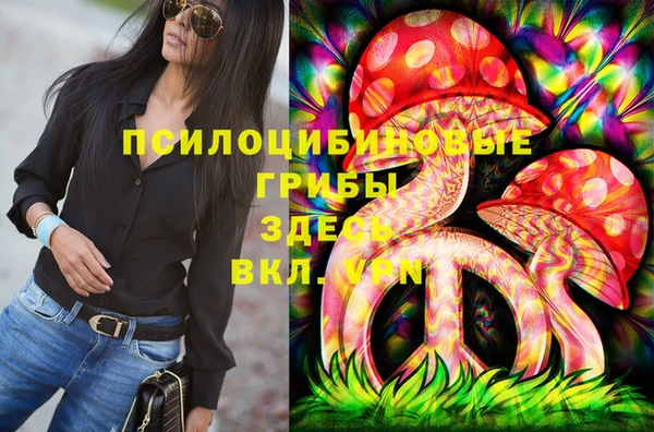 гашик Волоколамск