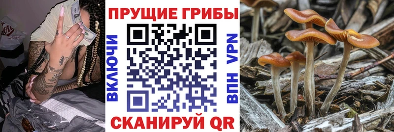 сайты даркнета формула  где продают наркотики  Лихославль  Галлюциногенные грибы Magic Shrooms  ссылка на мегу как войти 